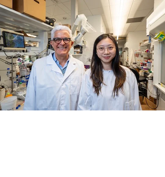 Menachem Elimelech and Yuanmiaoliang “Selina” Chen. (Photo credit: Gustavo Raskosky/Rice University)